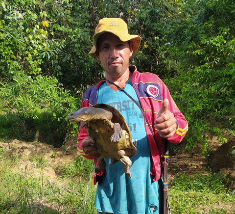 Jair Bonilla shows one of the most recent Dahl’s Toad-headed Turtle additions to the La Carranchina Natural Reserve. Photo: Igor Valencia