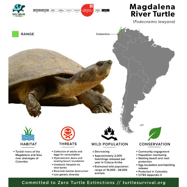 magdalena