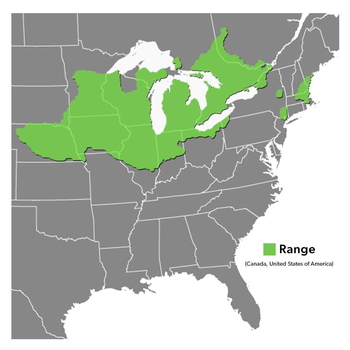 Carte de répartition de l'espèce - Tortue de Blanding